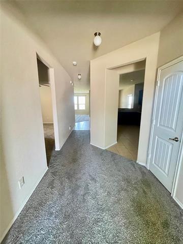 Foto del edificio - 507 Lipizzan Ln