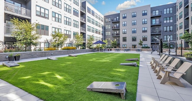 Interior Photo - Olive & Wooster