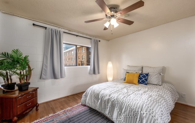 Beautiful bedroom view - 335 Cedar Ave