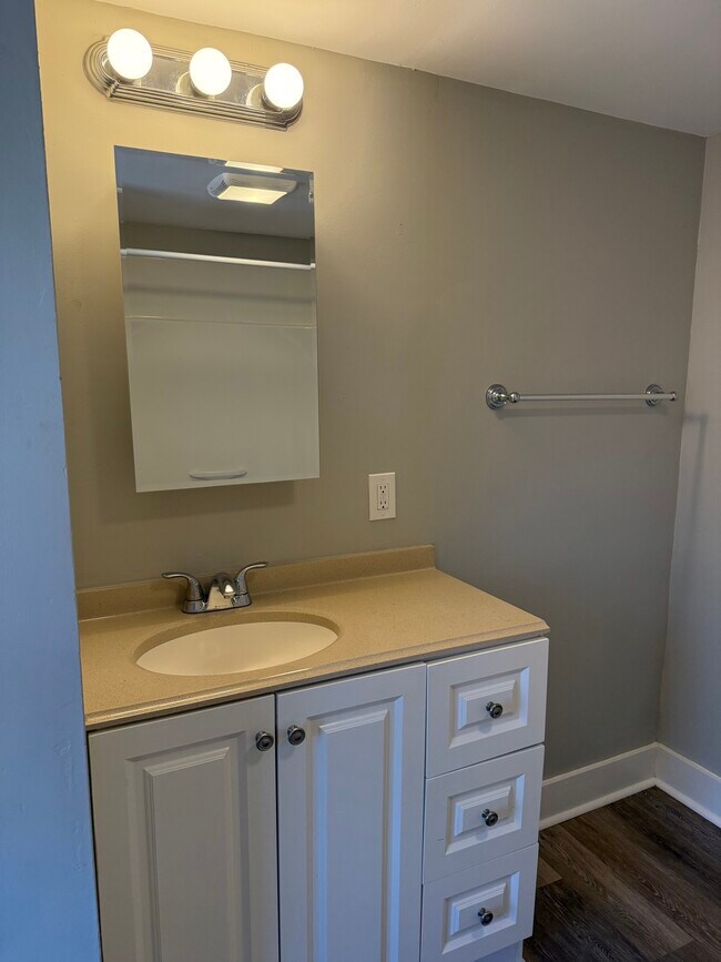 Bathroom (tub & shower) - 335 Cabot St