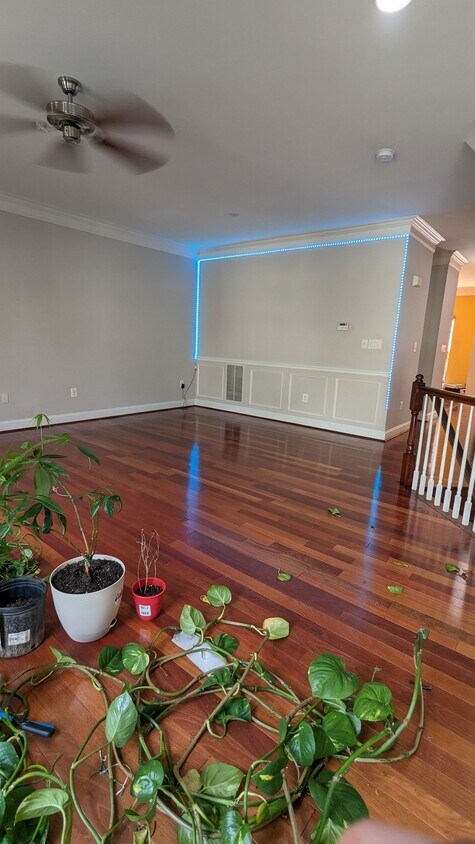Foto principal - 13231 Maple Creek Ln