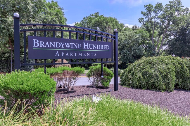 0o7a6765 - Brandywine Hundred