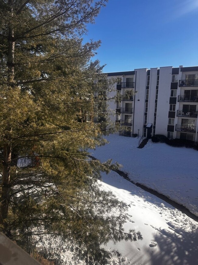 Charming 1 Bedroom 1 Bathroom Condo In Much Sought After EOS-21 - Charming 1 Bedroom 1 Bathroom Condo In Much Sought After EOS-21