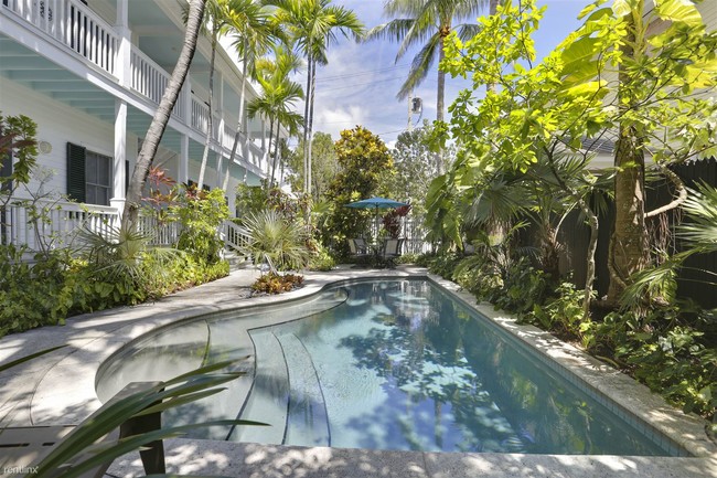 Foto del edificio - 2 br, 2 bath  - Treetop Paradise