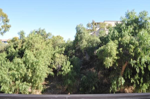 Vista desde el balcón - 8085 Caminito de Pizza