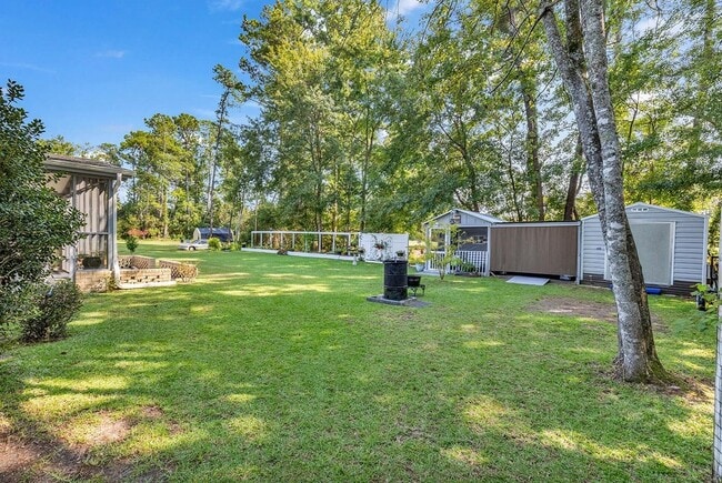 backyard - 118 Wofford Rd
