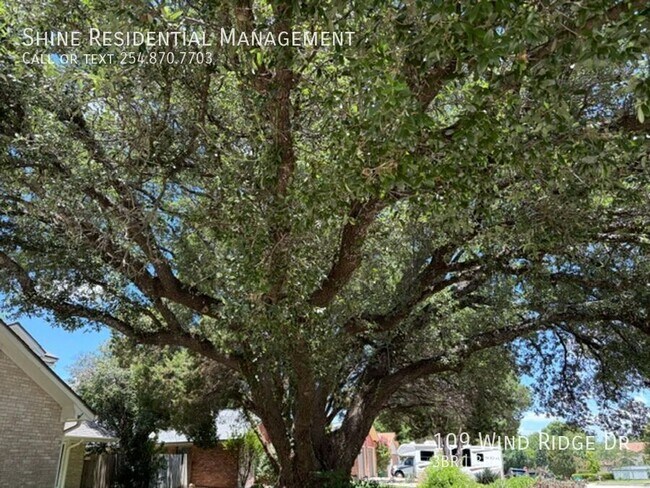 Foto del edificio - 109 Wind Ridge Dr
