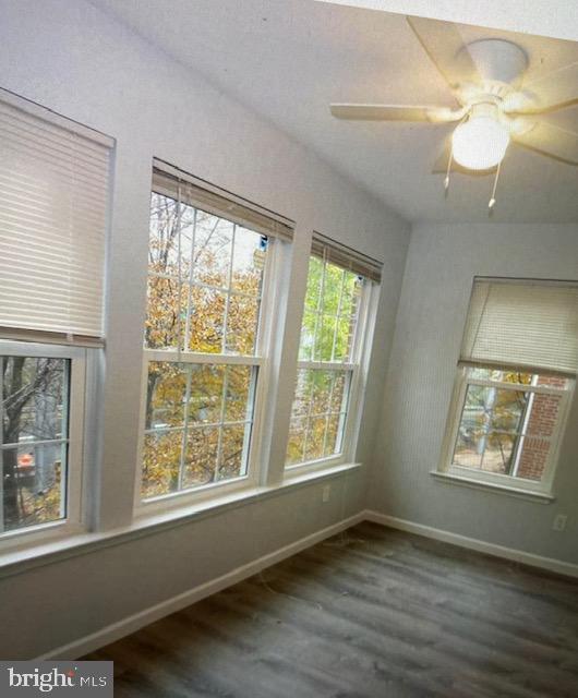 Foto del edificio - 3313 Wyndham Cir