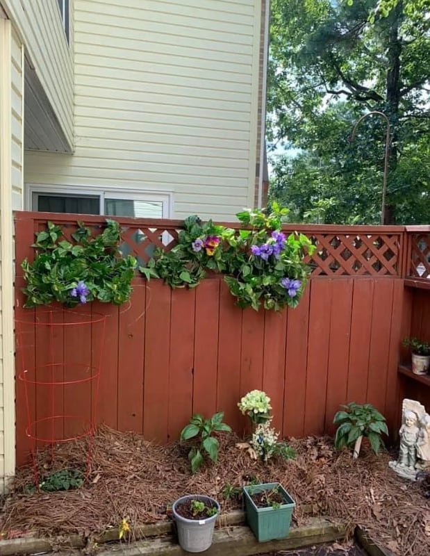 Building Photo - 415 Summerwalk Cir