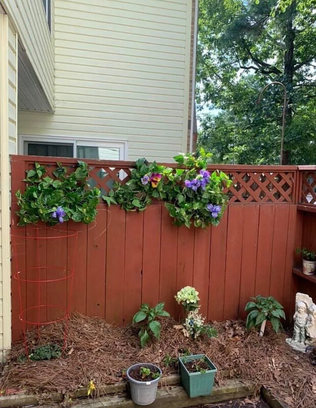 Foto del edificio - 415 Summerwalk Cir