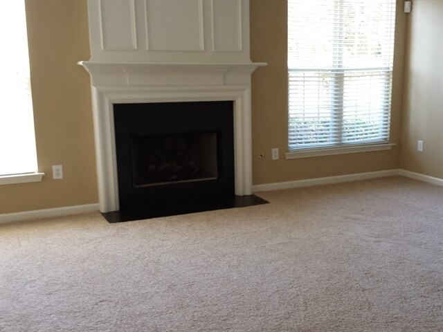 Building Photo - 315 Karsten Creek Drive