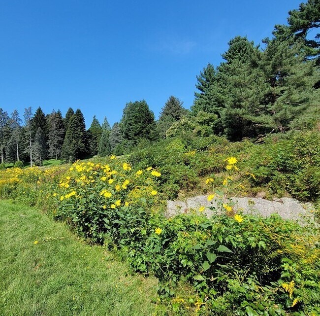 Foto del edificio - 994 Centre St