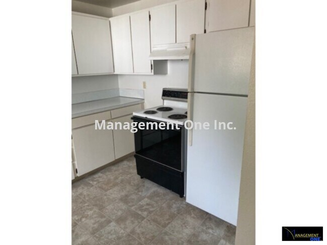 Foto del edificio - LARGE SPACIOUS APARTMENT CLOSE TO BSU AND ...