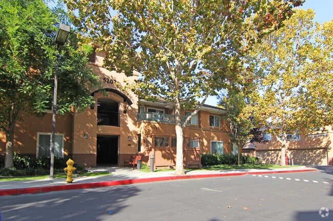 Ohlone Court Apartments 5225 Terner Way San Jose CA 95136 Ohlone Court Apartments 5225 Terner Way San Jose CA 95136