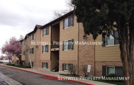 Foto del edificio - 804 Cedar Pine Ct