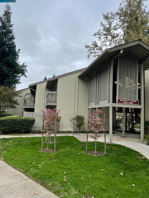 1241 Homestead Ave Unit 228, Walnut Creek, CA 94598 Condo for Rent in