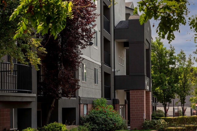Building Photo - Palladio Apartments
