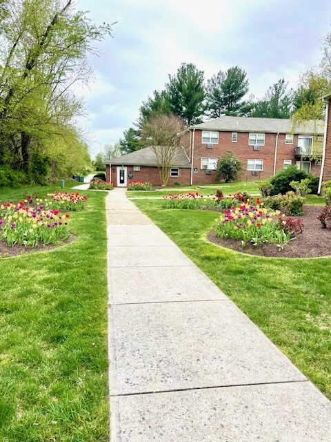 Building Photo - Pine Hill Apartments