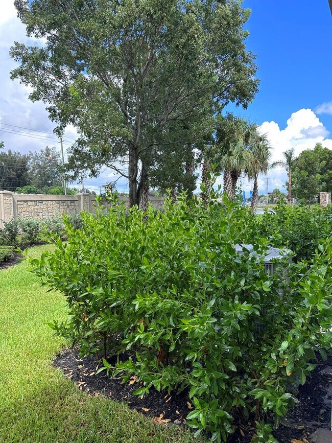 Foto del edificio - 6827 Broadwater Ln