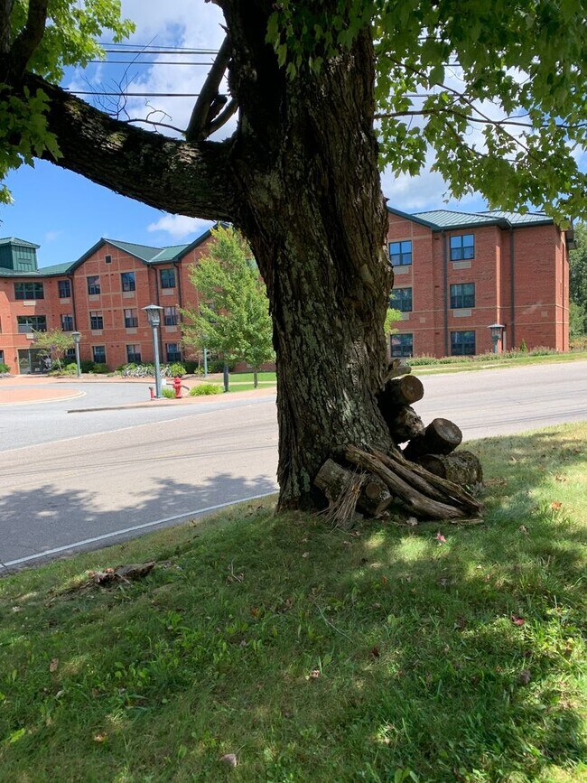 Foto del edificio - 718 Poplar Grove Rd