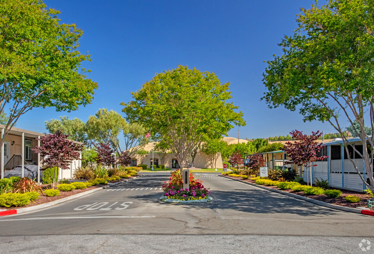 Primary Photo - Mountain Shadows Mobile Home Park