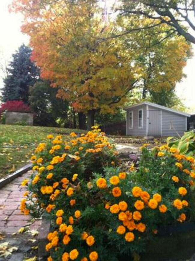 Beautiful yard with separate patio space - 265 Common St