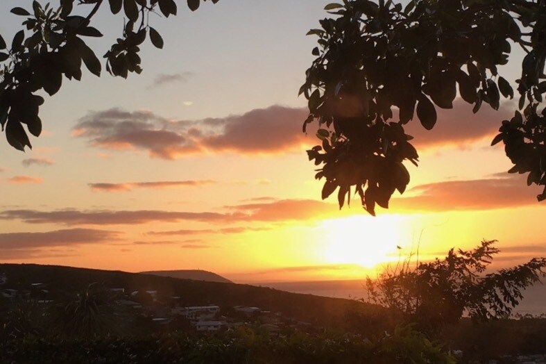 1603A Paula Dr, Honolulu, HI 96816 Apartments in Honolulu, HI