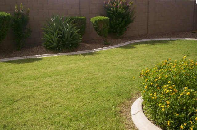 Building Photo - Beautiful 3/2 Mesa home in great location