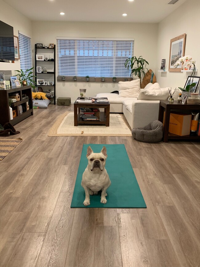 previous tenants set up (frenchie not included) - 4444 Fulton Ave
