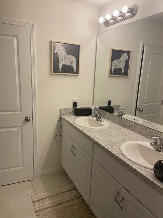baño principal - 228 Sparrow Hawk Dr