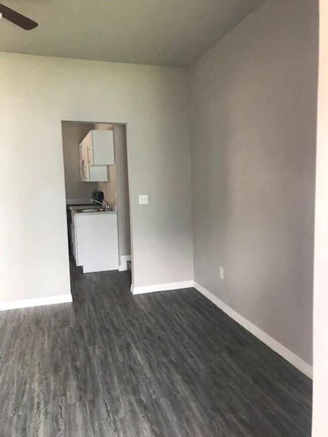 Building Photo - 2 Bedroom, 1 Bath Home - ST PETERSBURG