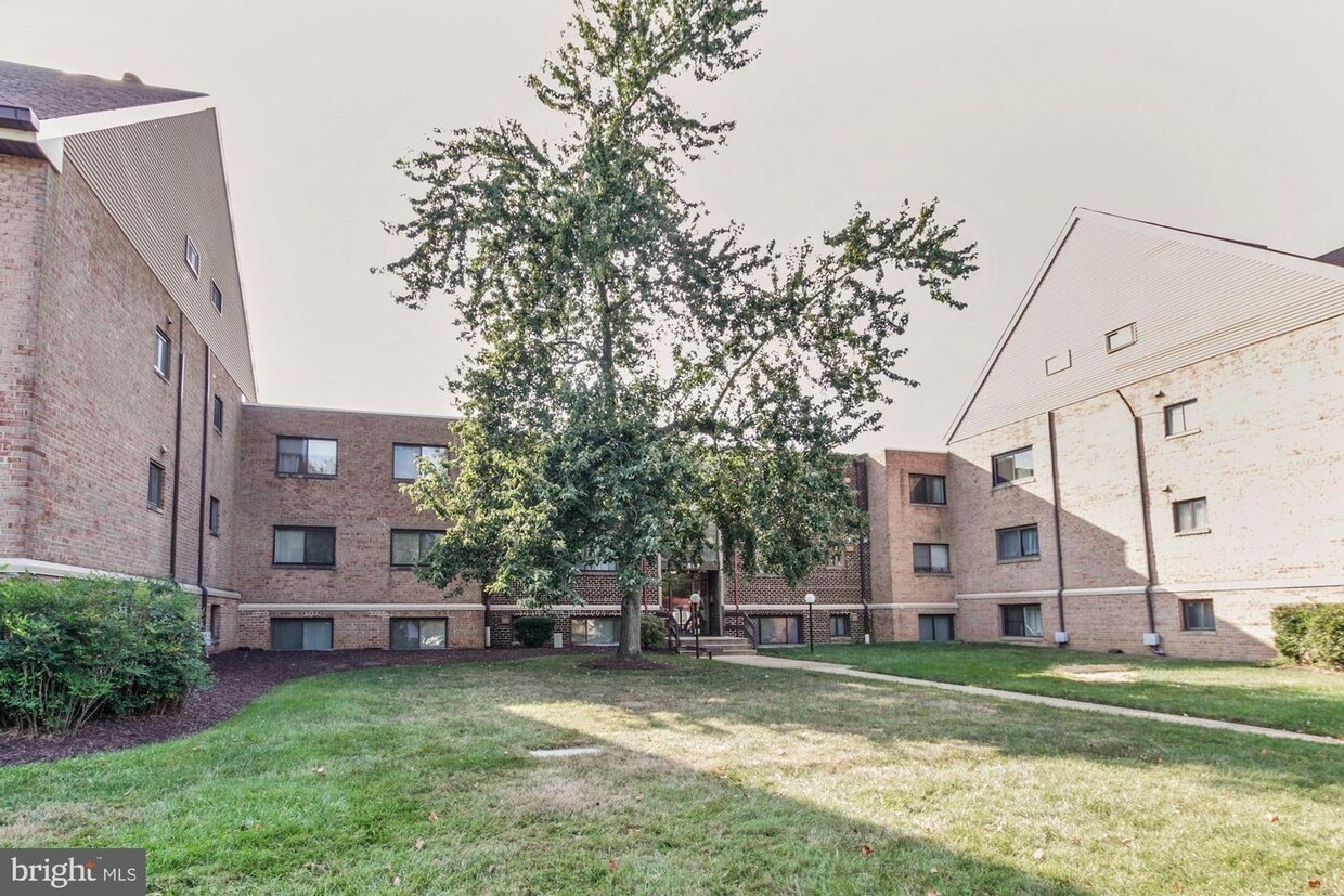 11508 Bucknell Dr Unit 204, Silver Spring, MD 20902 Room for Rent in