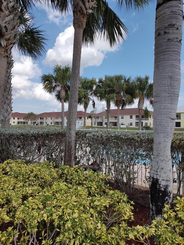 Foto principal - 927 Ocaso Ln
