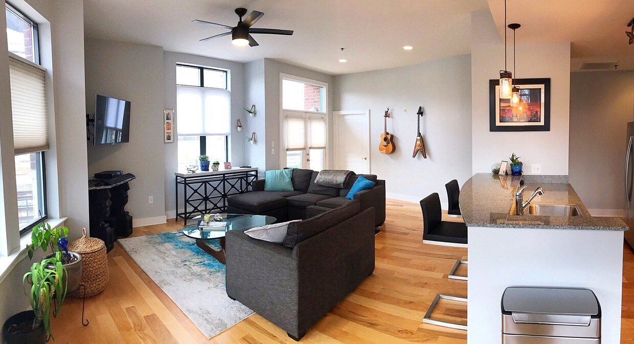 115 E Park Ave Unit 114, Charlotte, NC 28203 Condo for Rent in