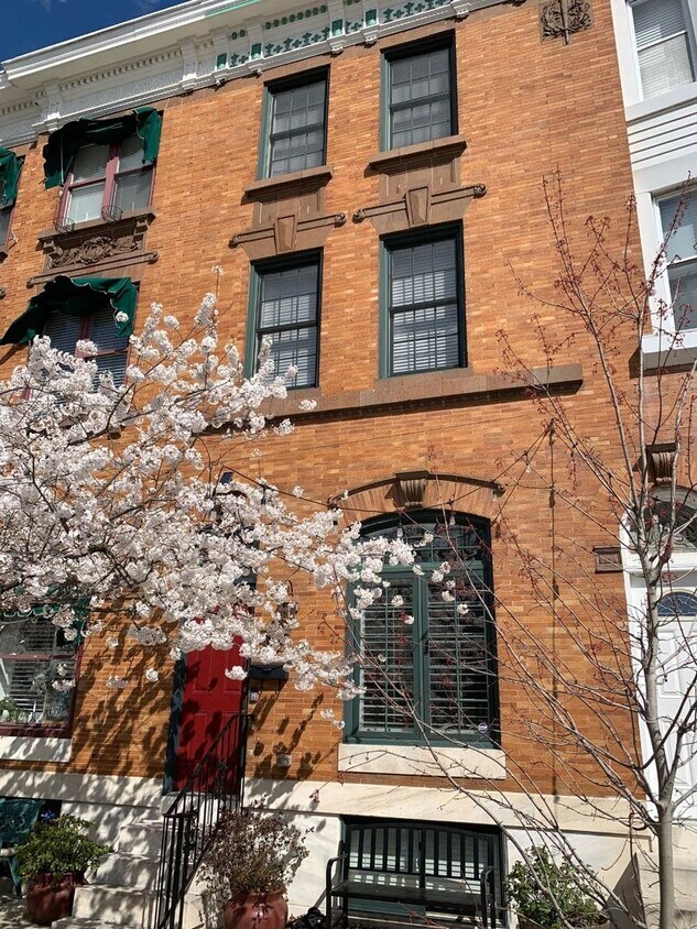 Primary Photo - 143 S. Linwood Ave/4 Bed, 4.5 Bath TH in P...