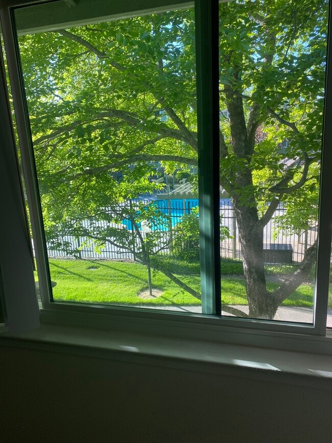 Vista desde el dormitorio principal - 184 W Agua Caliente Rd