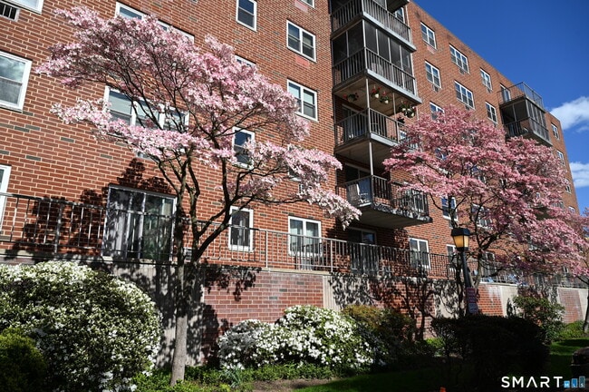 Foto del edificio - 27 Northill St