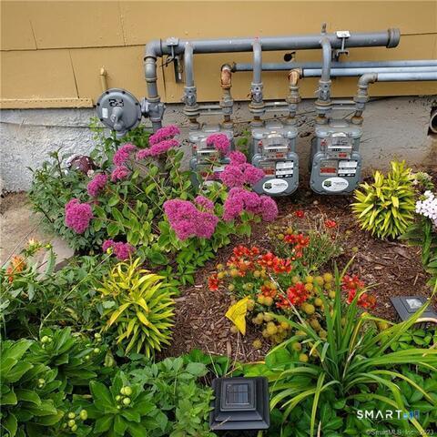 Foto del edificio - 232 Kelsey St