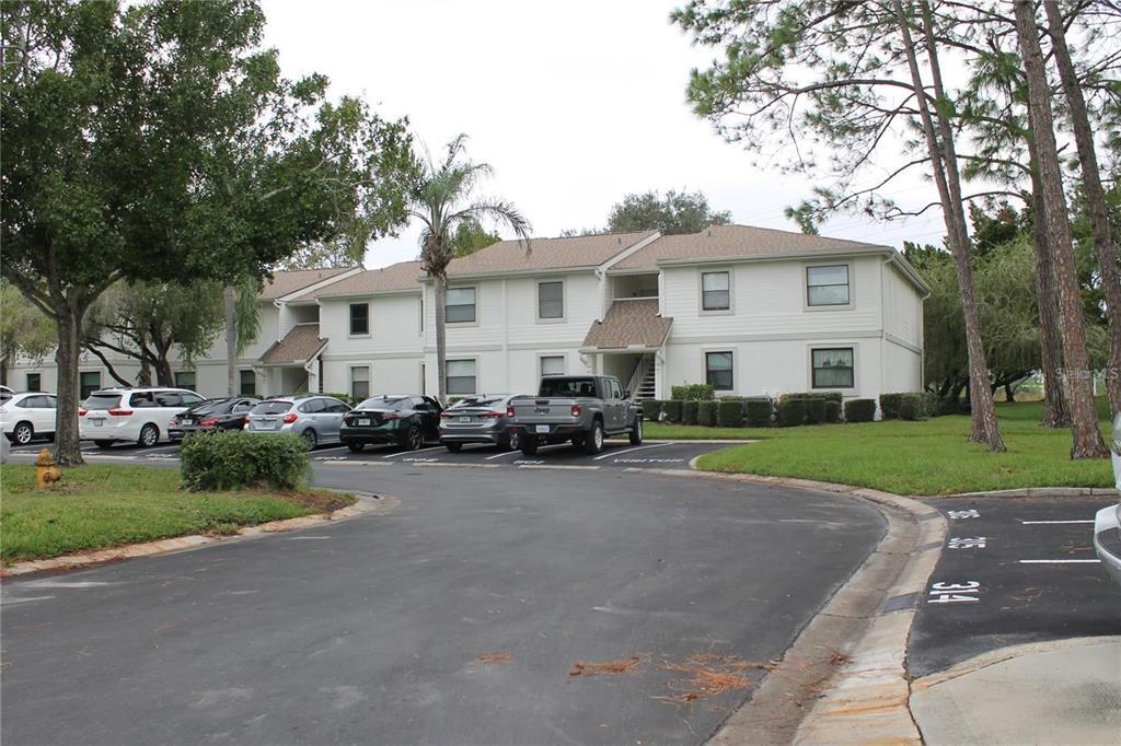 503 Meadow Ln Unit 503, Oldsmar, FL 34677 Condo for Rent in Oldsmar