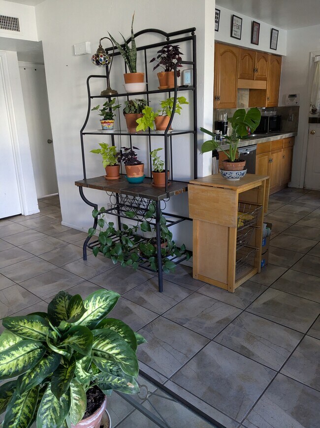 Building Photo - 4365 N La Osa Way