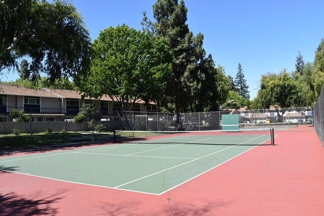 Tennis courts - 497 Daisydell Court