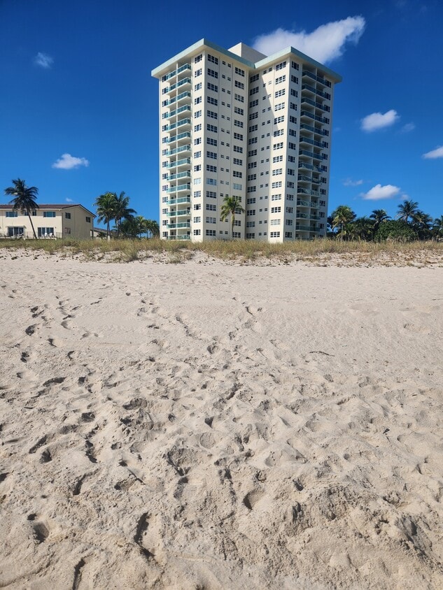 View of Condo from Beach - 6000 N Ocean Blvd