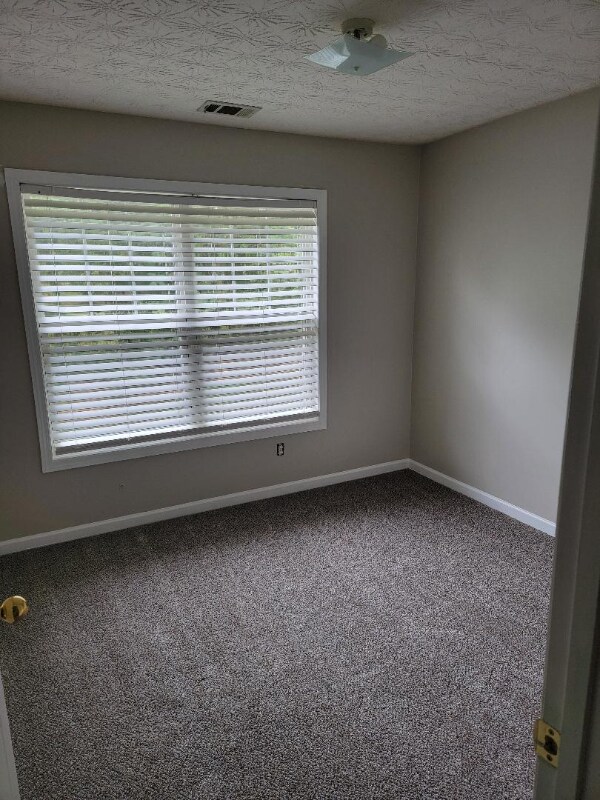 Building Photo - 3854 Austin Park Ln