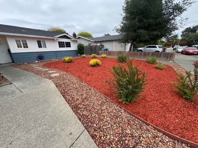 Building Photo - Beautiful 4 Bedroom House Available Now!