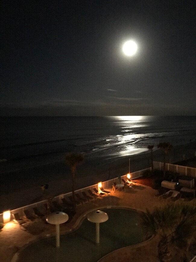 Foto del edificio - Ocean FRONT Studio! Amazing and must see! DEPOSIT-FREE Renting option thru OBLIGO! Deposit Altern...