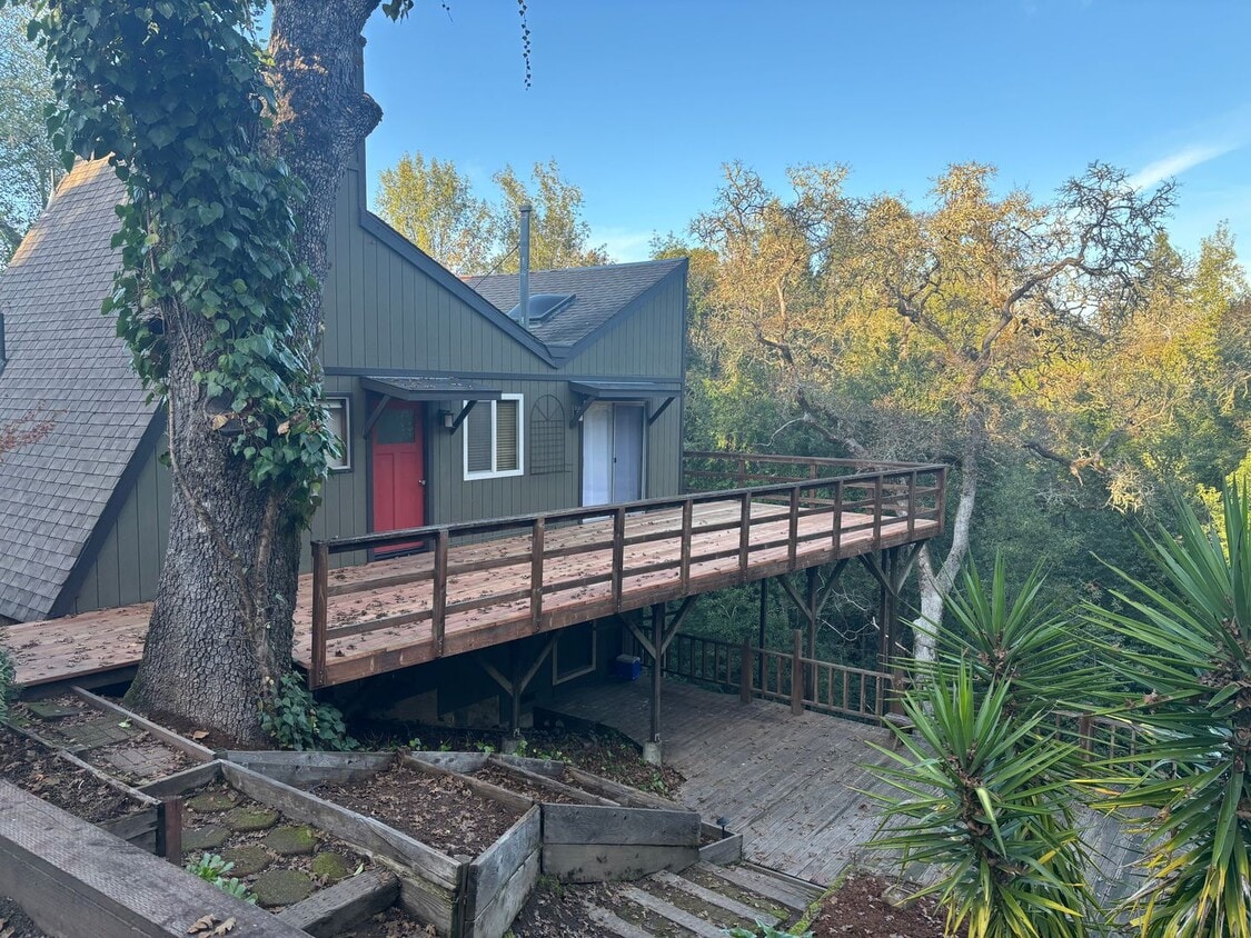 Primary Photo - One Bedroom, Plus Loft, Forestville Home