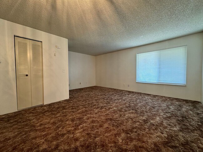 Foto del edificio - Great Studio Condo