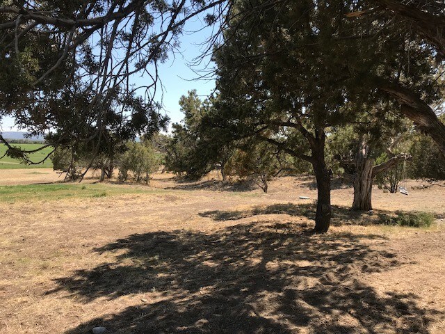 Foto del edificio - 230 Sunflower Ln