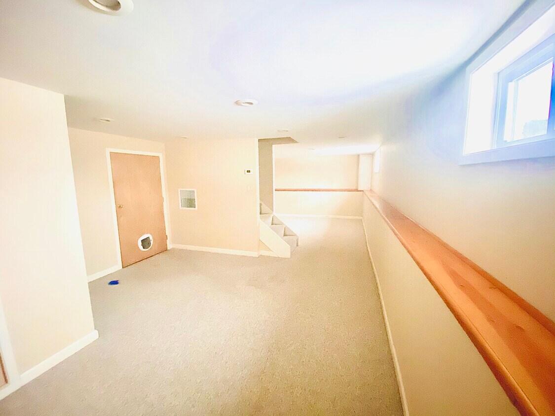 Basement - 207 Chase Ave