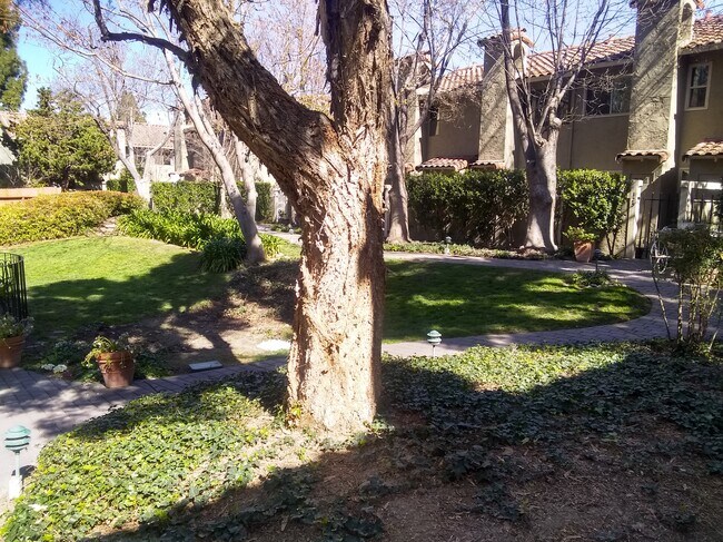 Grounds - 141 W Rincon Ave